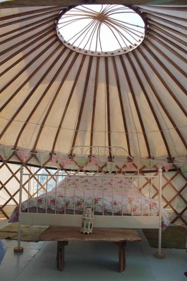 Mill Haven Place Glamping-Yurt 2 Haverfordwest Exterior photo